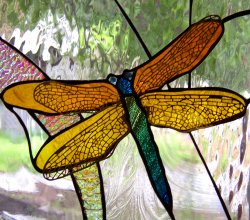 dragonfly w metal overlay